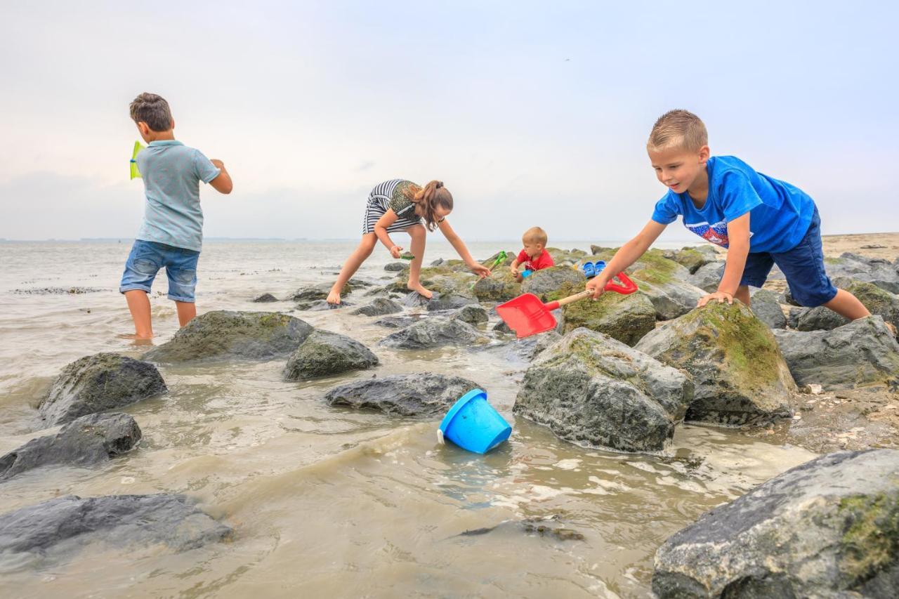 Luxe 5-Persoons Chalet Op Familiecamping Baarland Zewnętrze zdjęcie
